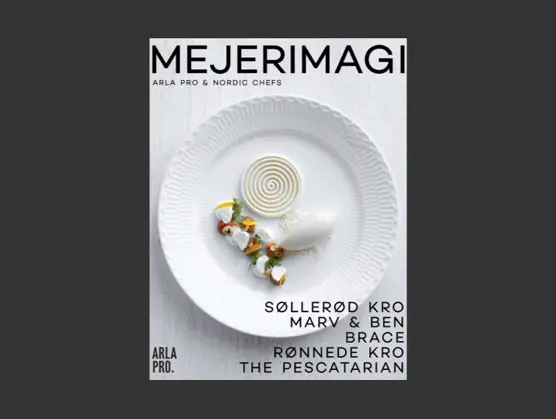Mejerimagi