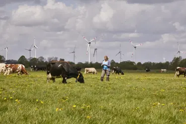 Erneuerbare Energien 