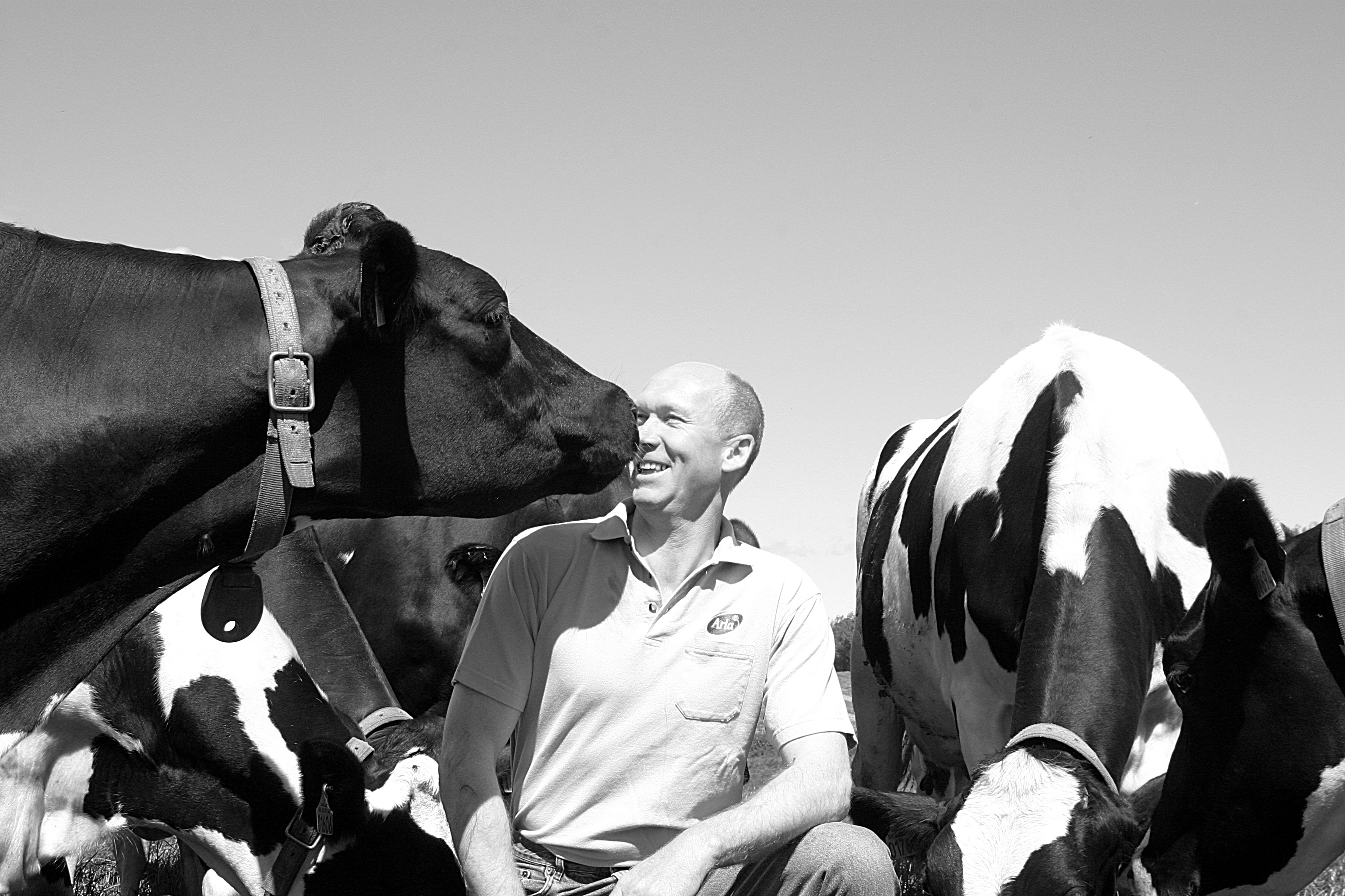 Nachhaltige Milchwirtschaft