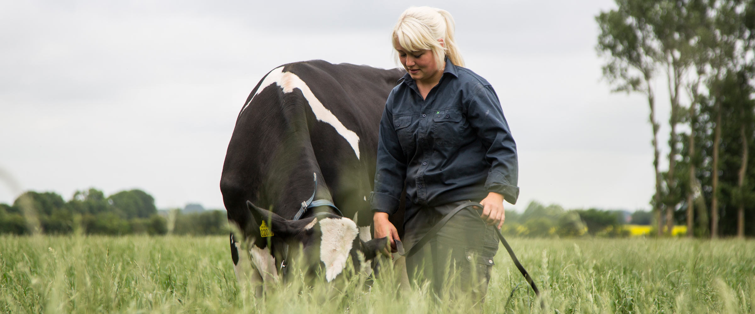 Sustainability Champion