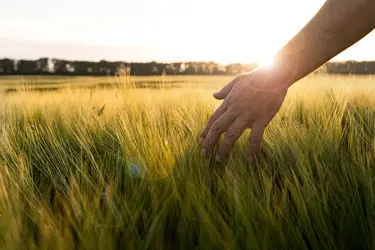 Soutenir le développement durable