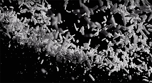 Perfect Freeze, perfect pizza