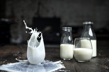 Arla® LactoFREE økologisk sød- og letmælk er laktosefri mælk til dig, der er laktoseintolerant, eller til dig, der gerne vil leve et liv uden laktose. 