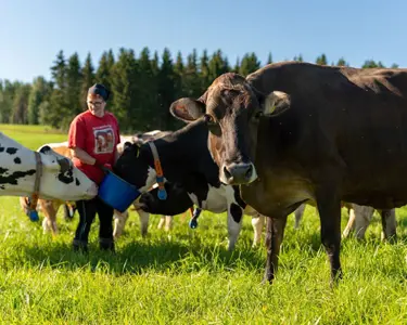 Suomalaiset maitotilalliset ruoanturvaajina