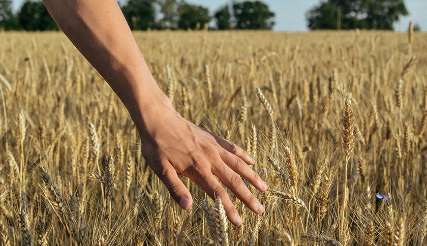 Υποστήριξη της Βιώσιμης Ανάπτυξης