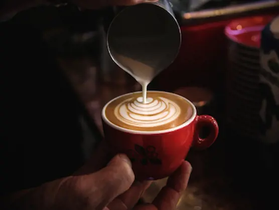 Voor goede smaak zijn geen alternatieven