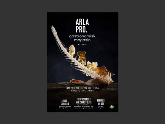 Arla Pro Gastronomisk Magasin #2