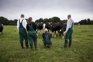 Lær Arla bedre at kende