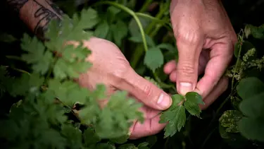 Proud to work in partnership with the Sustainable Restaurant Association