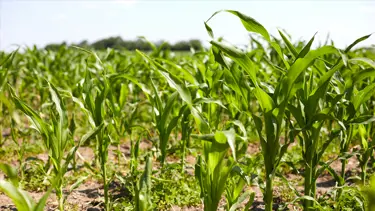 Soutenir le développement durable 