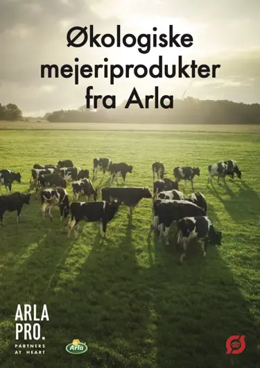 Økologiske Mejeriprodukter Fra Arla 