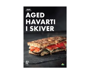 Castello® Aged Havarti i skiver - produktkatalog