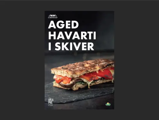 Castello Aged Havart i Skiver