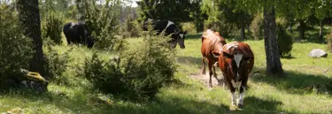 Tekoja huomisen hyväksi