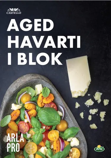 Castello® Aged Havarti i blok