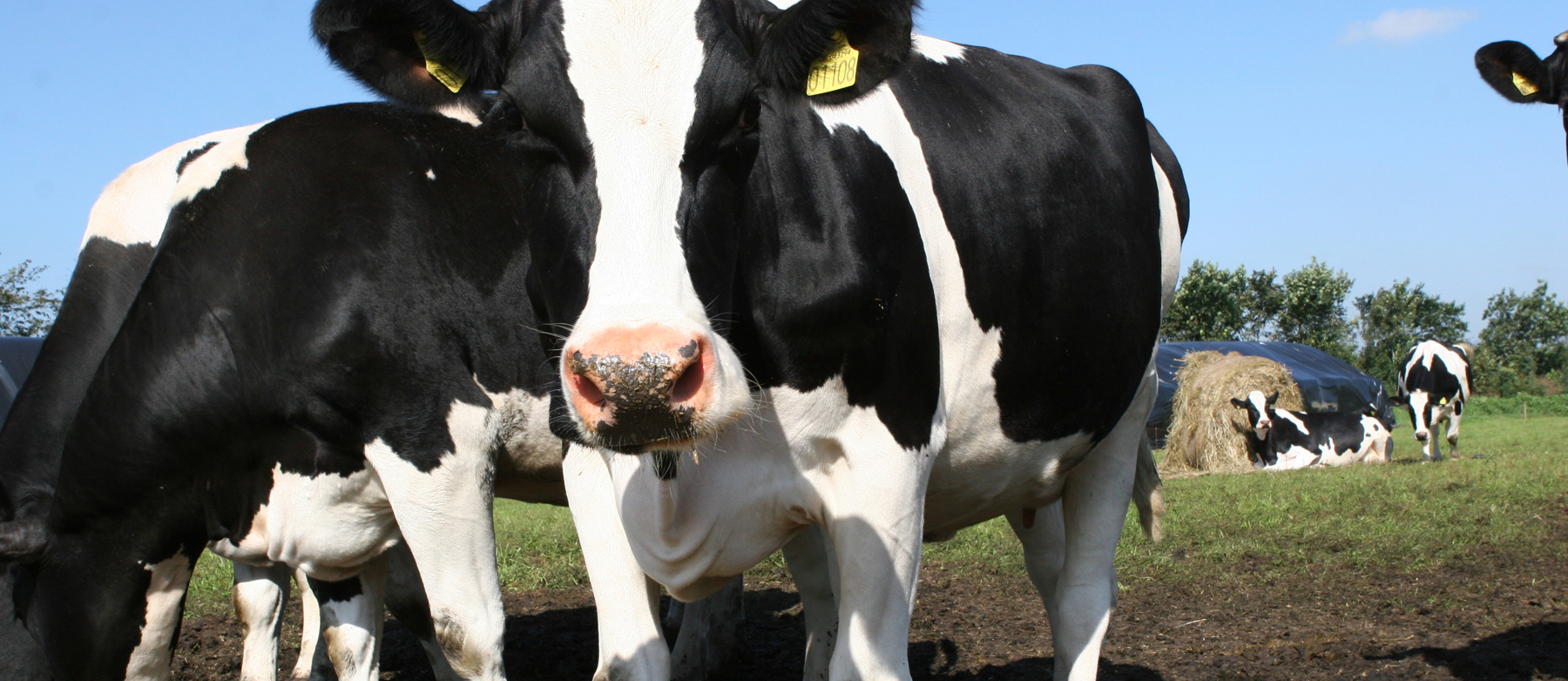 Visionær landmand med kærlighed til klimaet