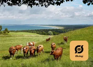okologi-2