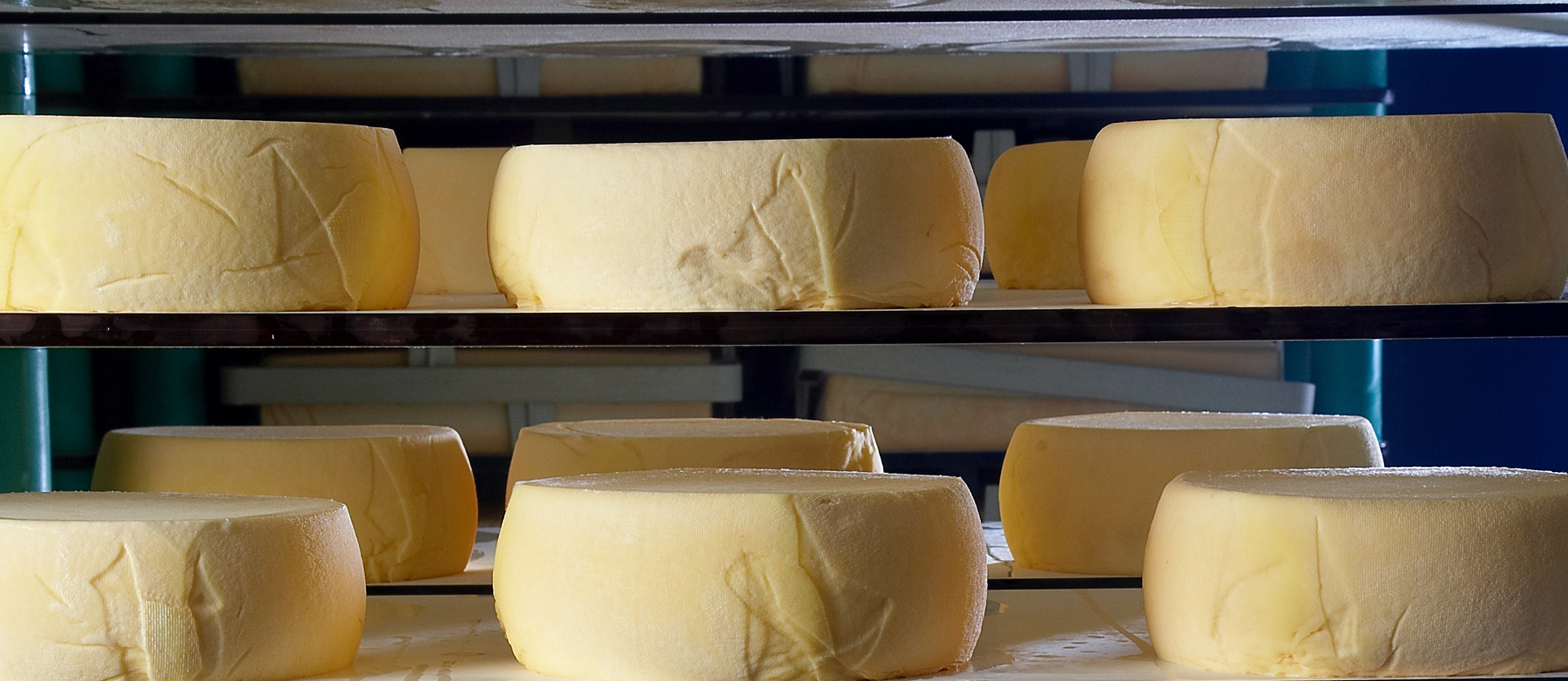 Tistrup Andelsmejeri - stolt mejerihåndværk i 135 år med andel i fremtiden