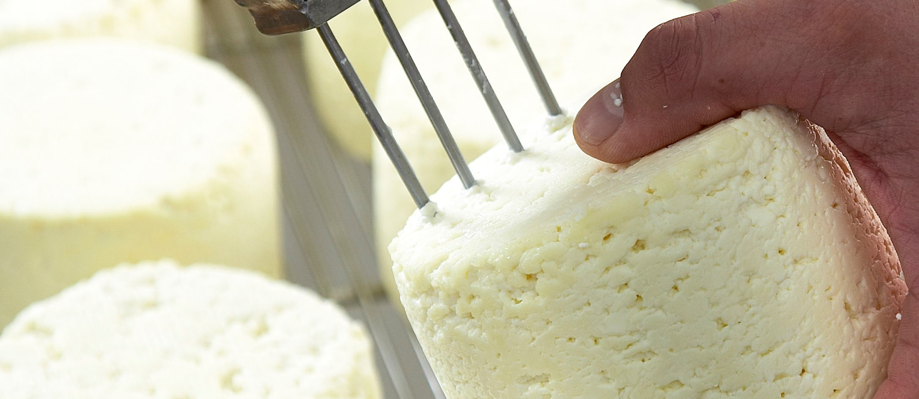 På Gjesing mejeri forenes håndværk og automatik