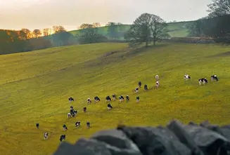 https://cdb.arla.com/api/assets/arla-pro-fr/01.jpg