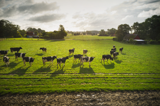 PNG_Version-ARLA_Farm_GevenDJI_0468