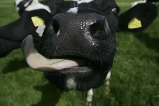 https://cdb.arla.com/api/assets/arla-pro-fr/arla-dk-002307.jpg