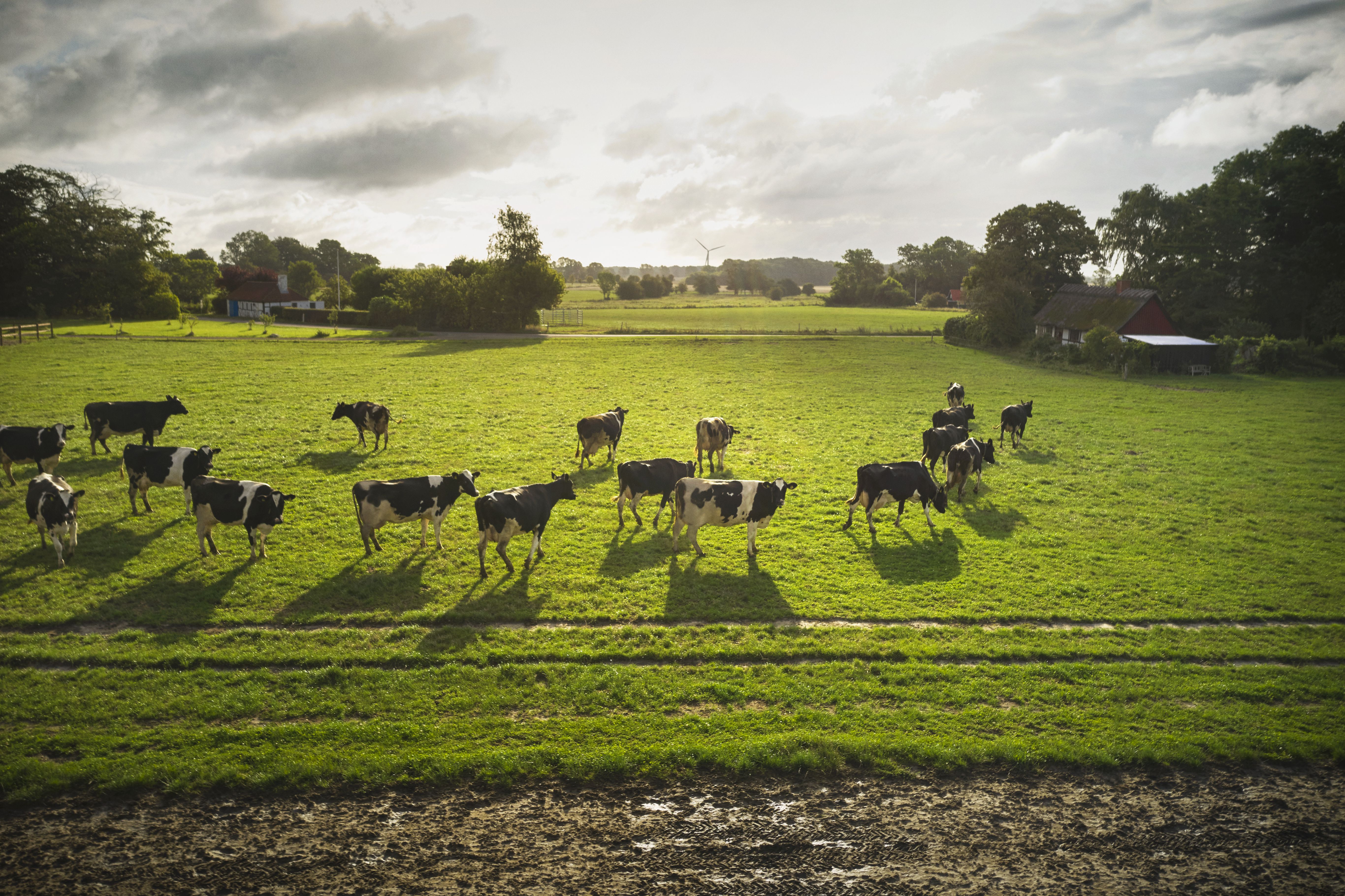 Chez Arla Pro, le développement durable n’est pas une option, mais bien la priorité. 