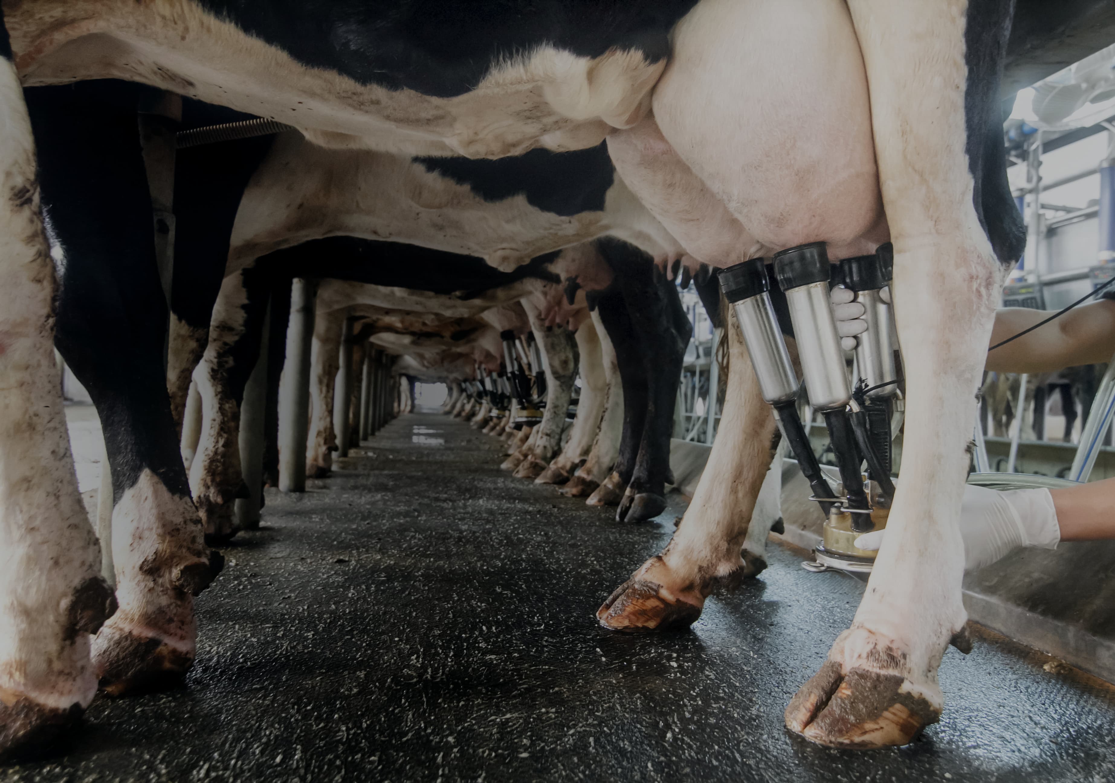 Une agriculture high-tech qui a du cœur