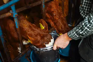 https://cdb.arla.com/api/assets/arla-pro-nl/arlagaarden-02.jpg