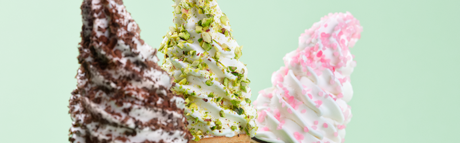 Setting Up Your Soft Serve Machine