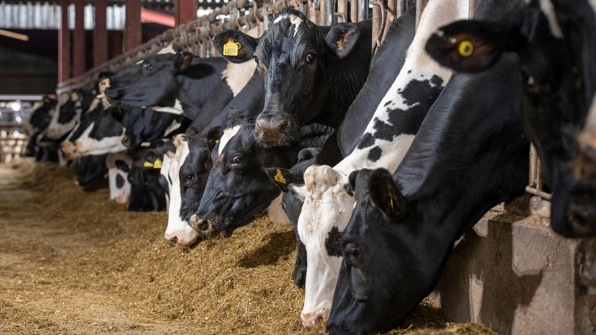 High-tech Farming with Heart