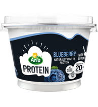 Skyr med blåbær 0,2% 200 g